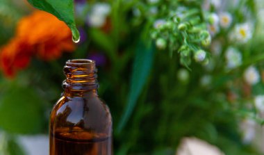 Bitkilerden ve çiçeklerden oluşan temel yağ damlaları. Seçici odaklanma. Doğa.