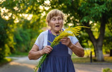 Yaşlı bir kadının yabani otlara alerjisi vardır. Seçici odaklanma. Doğa.