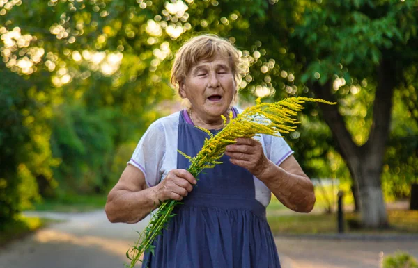 Elderly Woman Allergic Ragweed Selective Focus Nature — Stock Photo, Image