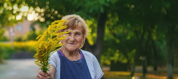 Elderly Woman Allergic Ragweed Selective Focus Nature — Stock Photo, Image