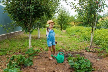 Bir çocuk bahçeye çilek ekiyor. Seçici odaklanma. Doğa.