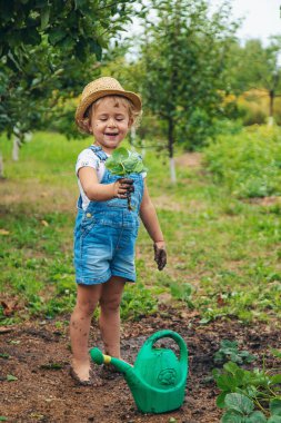 Bir çocuk bahçeye çilek ekiyor. Seçici odaklanma. Doğa.