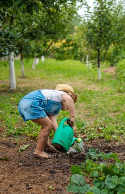 Bir çocuk bahçeye çilek ekiyor. Seçici odaklanma. Doğa.