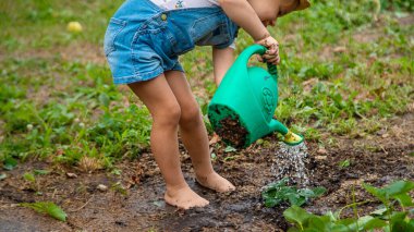 Bir çocuk bahçeye çilek ekiyor. Seçici odaklanma. Doğa.