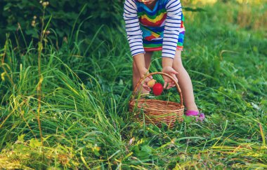 Bir çocuk çimenlerde paskalya yumurtası topluyor. Seçici odaklanma. Çocuk.