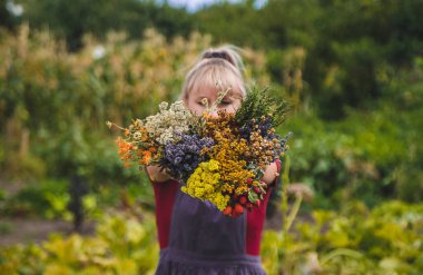 Bir kadın elinde şifalı bitkiler tutar. Seçici odaklanma. Doğa.