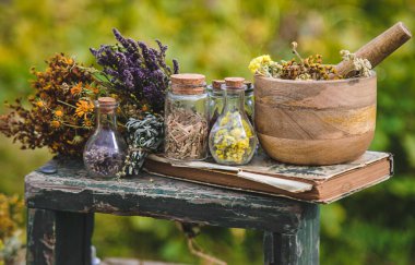 Bahçede kurutulmuş şifalı bitkiler var. Seçici odaklanma. Doğa.