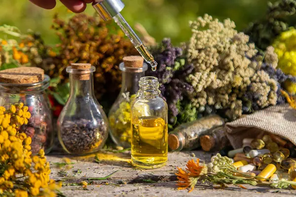 Dried Herbs Medicinal Tinctures Extracts Garden Selective Focus Nature — Stock Photo, Image