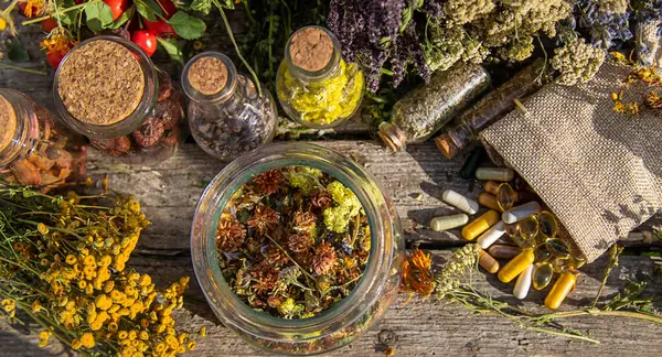 Dried Herbs Medicinal Tinctures Extracts Garden Selective Focus Nature — Stock Photo, Image