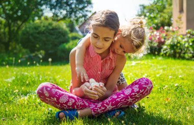 Bir çocuk bir tavukla oynar. Seçici odaklanma. hayvan.