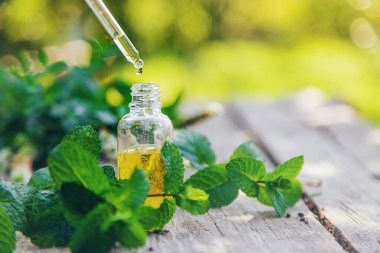 Şişe içindeki nane yağı. Seçici odaklanma. Doğa.
