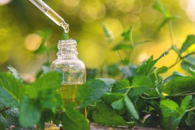 Şişe içindeki nane yağı. Seçici odaklanma. Doğa.