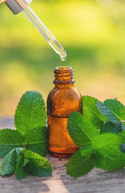 Şişe içindeki nane yağı. Seçici odaklanma. Doğa.
