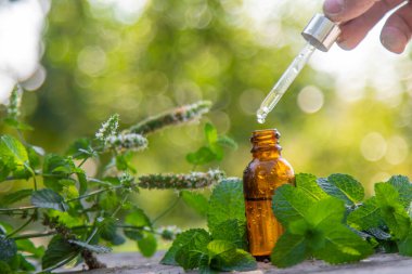 Şişe içindeki nane yağı. Seçici odaklanma. Doğa.