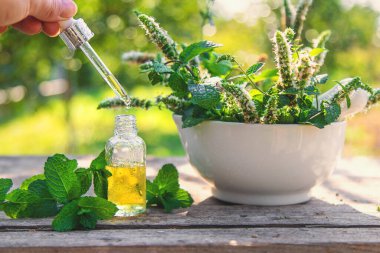 Şişe içindeki nane yağı. Seçici odaklanma. Doğa.