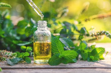 Şişe içindeki nane yağı. Seçici odaklanma. Doğa.