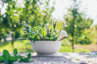 Şişe içindeki nane yağı. Seçici odaklanma. Doğa.