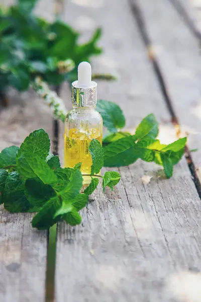 Peppermint Minyak Esensial Dalam Botol Fokus Selektif Alam Stok Foto Bebas Royalti