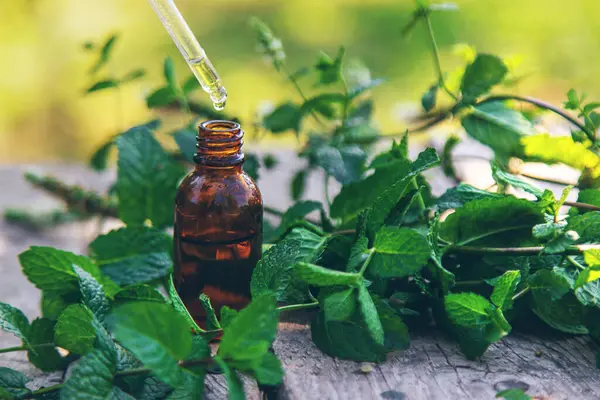 Peppermint Minyak Esensial Dalam Botol Fokus Selektif Alam Stok Gambar Bebas Royalti