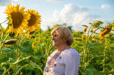 Ayçiçeği tarlasında nakışlı gömlek giyen yaşlı bir kadın. Seçici odaklanma. Doğa.