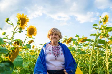 Ayçiçeği tarlasında nakışlı gömlek giyen yaşlı bir kadın. Seçici odaklanma. Doğa.