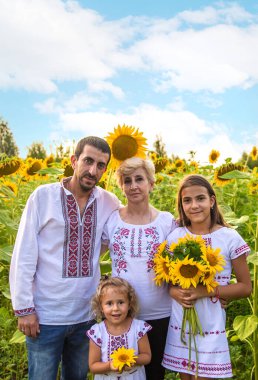 Ayçiçeği tarlasında nakışlı gömlek giyen bir aile. Seçici odaklanma. Doğa.