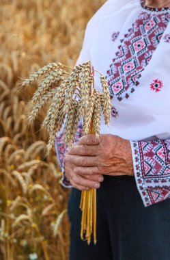 Buğday tarlasında nakışlı gömlek giyen bir kadın. Seçici odaklanma. Doğa.