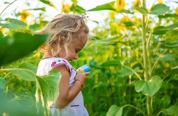 Stock image Child in a sunflower field wearing an embroidered shirt. Selective focus. nature.