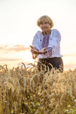 Buğday tarlasında nakışlı gömlek giyen bir kadın. Seçici odaklanma. Doğa.