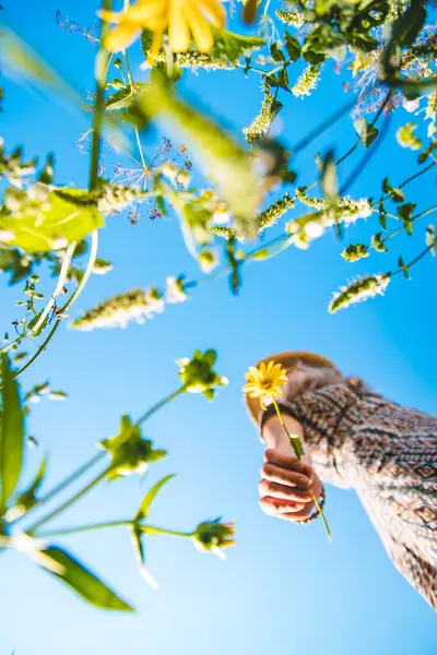 Parkta çiçekli bir kadın. Seçici odaklanma. Doğa.