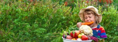 Bahçede sebzeli çocuk. Seçici odaklanma. Yiyecek..