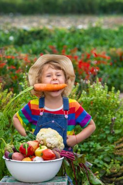 Bahçede sebzeli çocuk. Seçici odaklanma. Yiyecek..