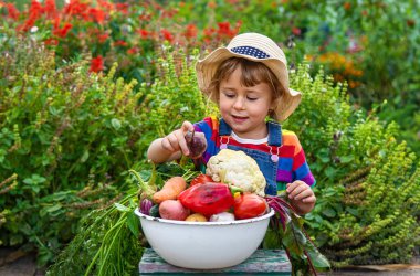 Bahçede sebzeli çocuk. Seçici odaklanma. Yiyecek..
