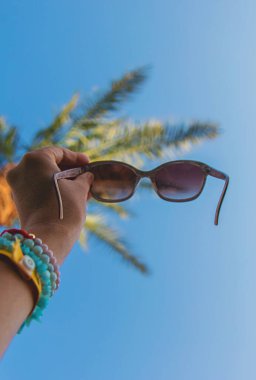 Palmiye ağacına karşı güneş gözlüğü. Seçici odaklanma. seyahat.