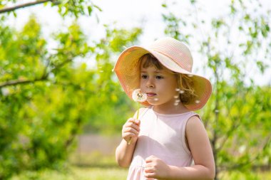 Bahçesinde karahindiba olan çocuk. Seçici odaklanma. Doğa.