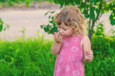 Elinde salyangoz tutan bir çocuk. Seçici odaklanma. Doğa.