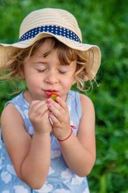 Çocuk bahçede çilek topluyor. Seçici odaklanma. çocuk.
