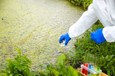 Nehirden bir su örneği al. Seçici odaklanma. Doğa.