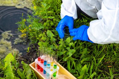 Nehirden bir su örneği al. Seçici odaklanma. Doğa.