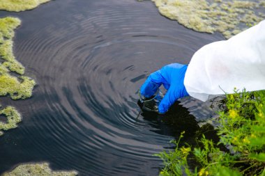 Nehirden bir su örneği al. Seçici odaklanma. Doğa.