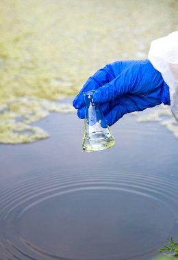 Nehirden bir su örneği al. Seçici odaklanma. Doğa.