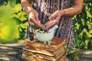 Şifalı bitkiler homeopati ve alternatif tıp. Seçici odaklanma. Doğa.