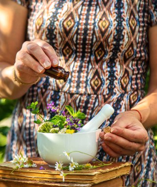 Şifalı bitkiler homeopati ve alternatif tıp. Seçici odaklanma. Doğa.