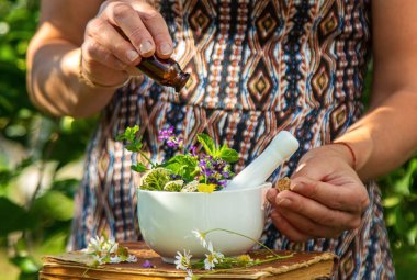 Şifalı bitkiler homeopati ve alternatif tıp. Seçici odaklanma. Doğa.