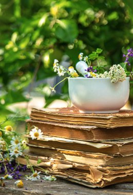 Şifalı bitkiler homeopati ve alternatif tıp. Seçici odaklanma. Doğa.