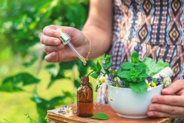 Şifalı bitkiler homeopati ve alternatif tıp. Seçici odaklanma. Doğa.