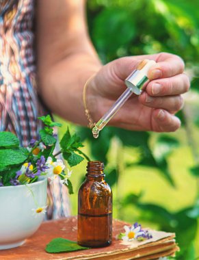 Şifalı bitkiler homeopati ve alternatif tıp. Seçici odaklanma. Doğa.