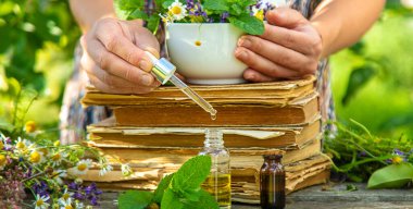 Şifalı bitkiler homeopati ve alternatif tıp. Seçici odaklanma. Doğa.