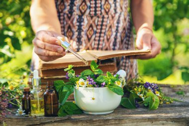 Şifalı bitkiler homeopati ve alternatif tıp. Seçici odaklanma. Doğa.