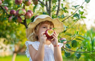 Bahçede elmalı çocuk. Seçici odaklanma. Çocuk.